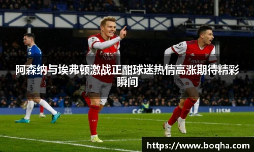 阿森纳与埃弗顿激战正酣球迷热情高涨期待精彩瞬间